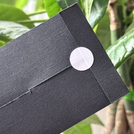Close-up of a textured matte black envelope-style box flap secured with a small white circular seal, photographed against green leafy houseplants in natural light.