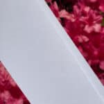 custom print bellybands